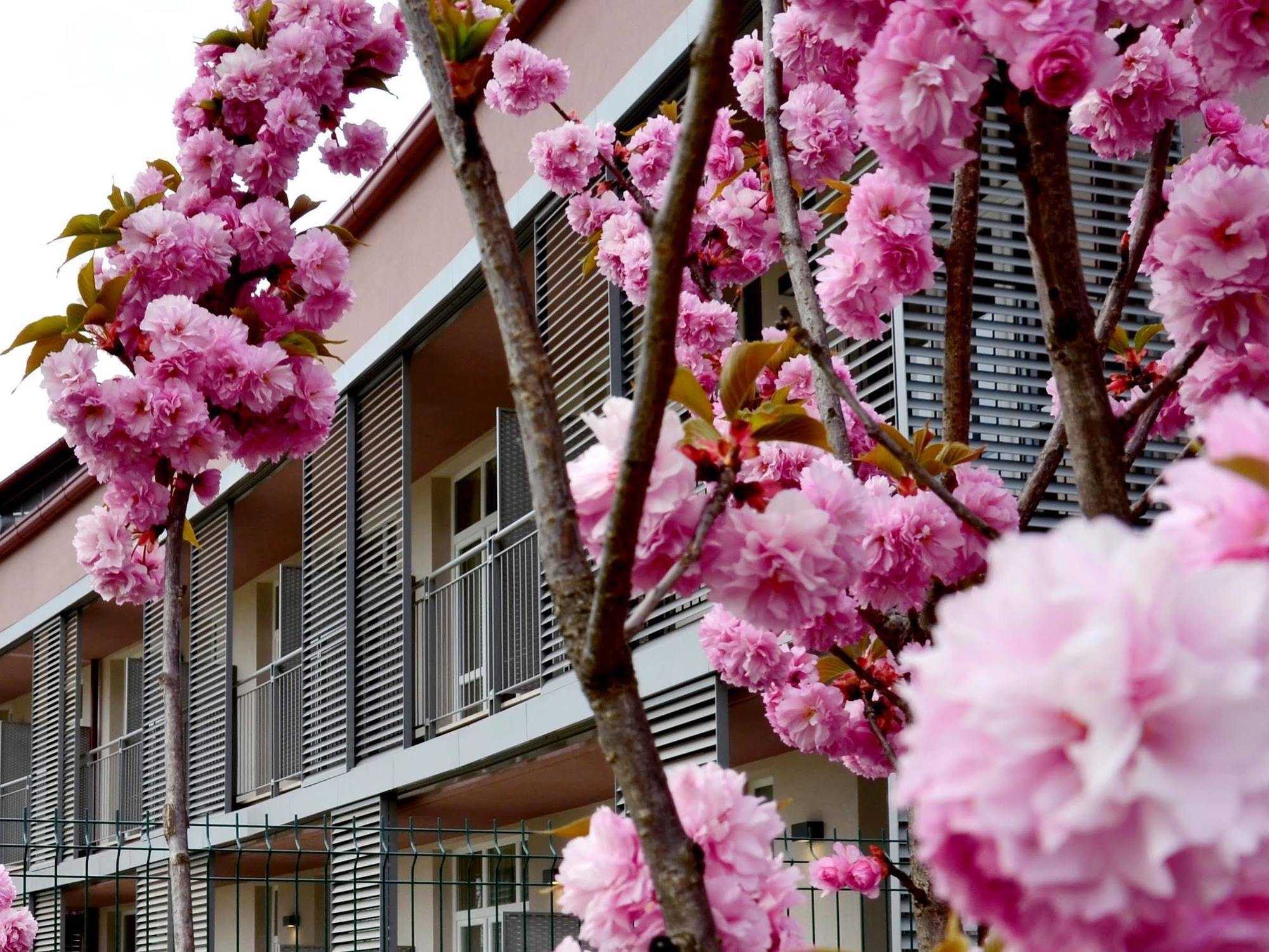 Privilege Apartments Vimercate Εξωτερικό φωτογραφία