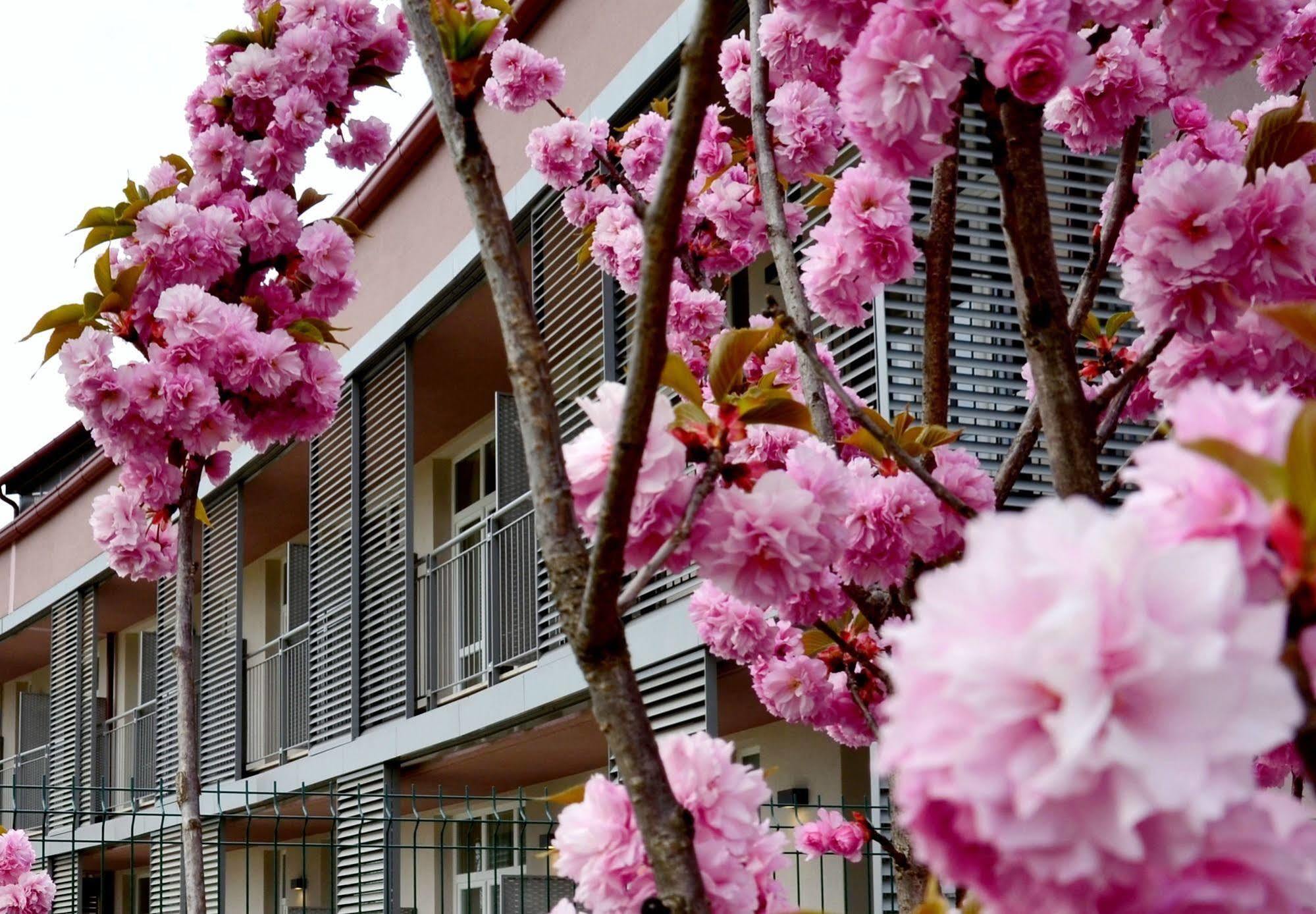 Privilege Apartments Vimercate Εξωτερικό φωτογραφία